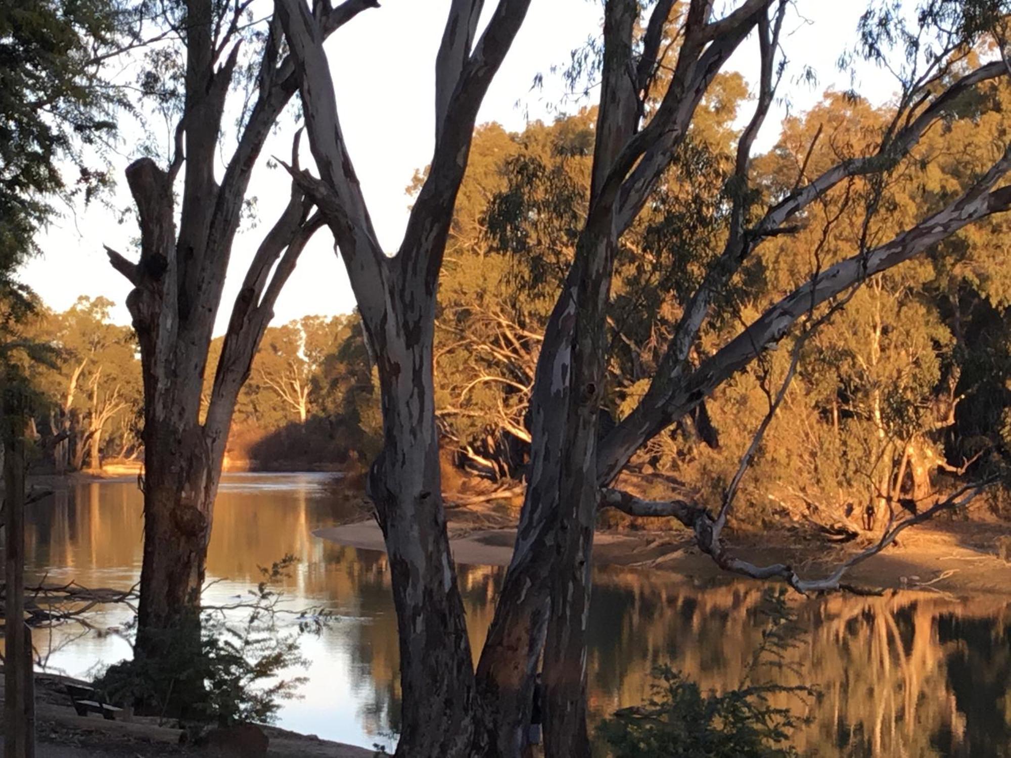 Deniliquin Riverside Caravan Park Zewnętrze zdjęcie