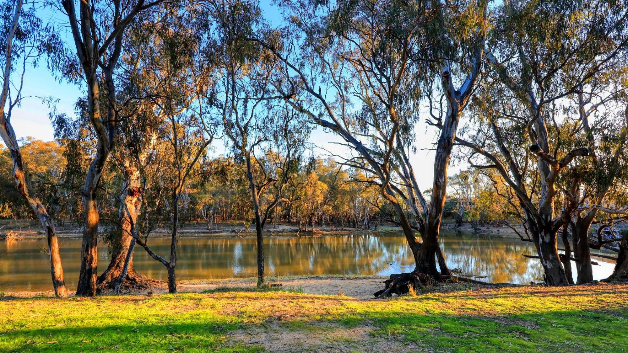 Deniliquin Riverside Caravan Park Zewnętrze zdjęcie