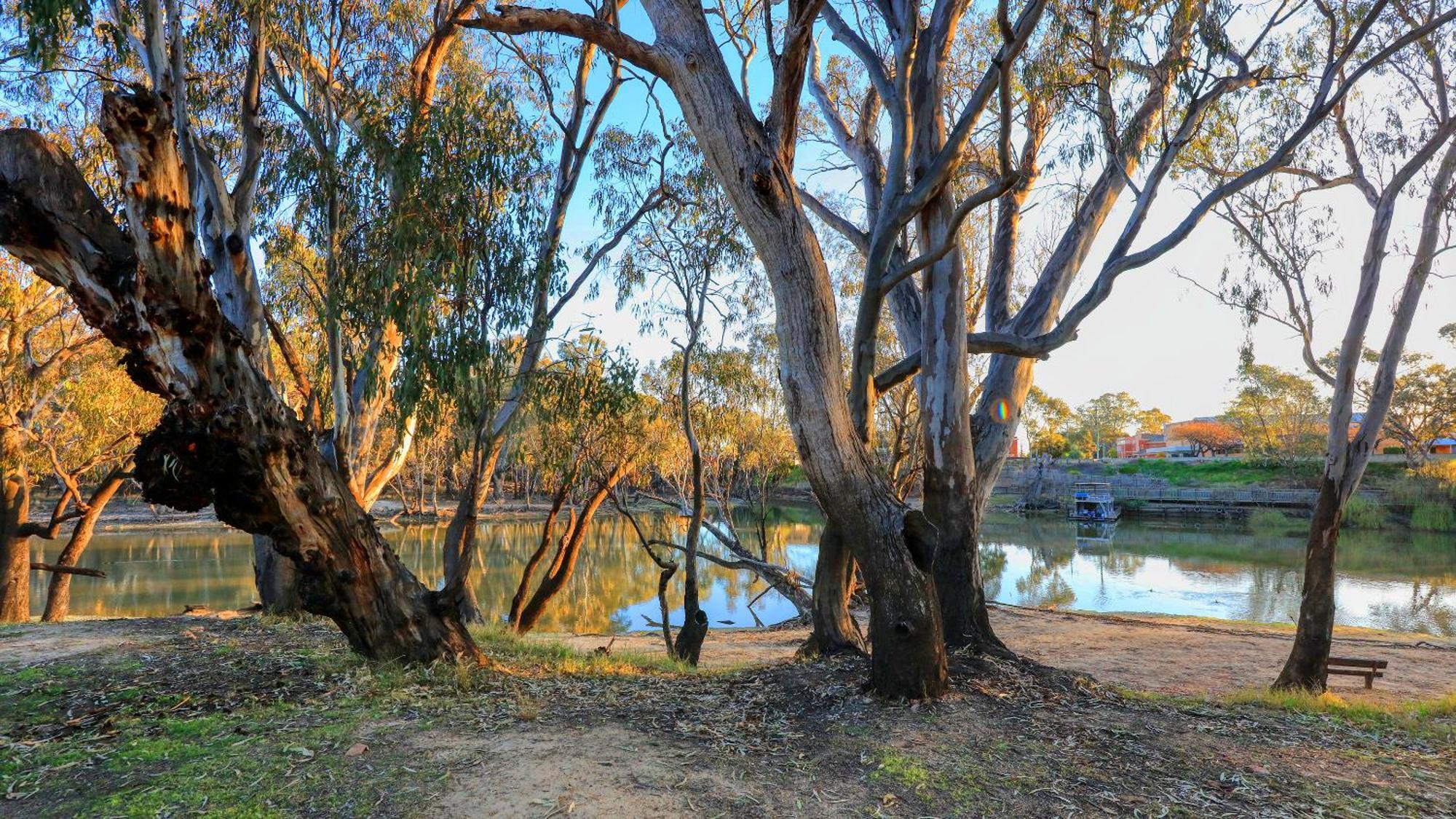 Deniliquin Riverside Caravan Park Zewnętrze zdjęcie